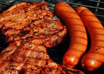 Canine Cuisine: Exploring What Human Foods are Safe for Dogs to Eat