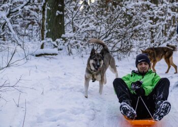 Dress to Impress: Fashionable Attire for Petite Pups