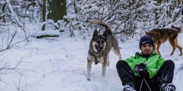 Dress to Impress: Fashionable Attire for Petite Pups