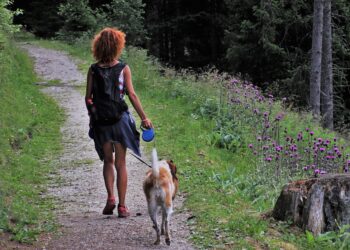 Unleash the Possibilities: The Ultimate Guide to Retractable Leashes