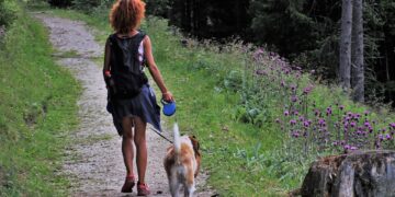 Unleash the Possibilities: The Ultimate Guide to Retractable Leashes